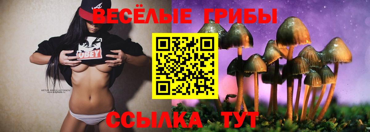Кувандык  Галлюциногенные грибы прущие грибы  Вход с VPN 